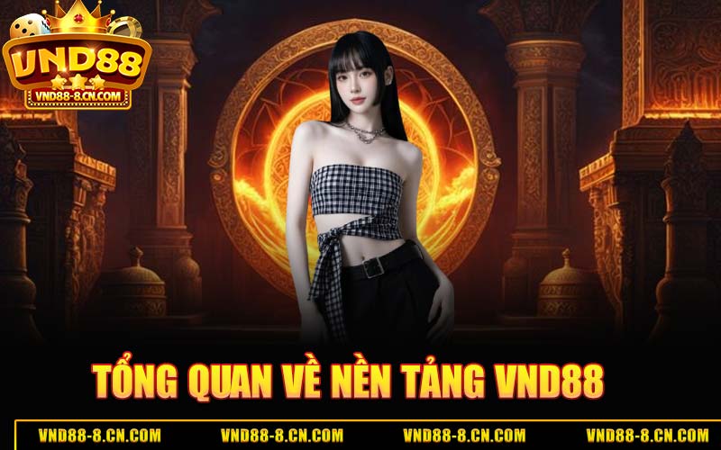 Tổng Quan Về Nền Tảng VND88